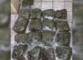 Shock and Fear After Massive Drug Bust Hits Lord’s Bank