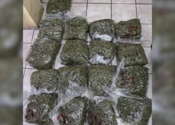 Shock and Fear After Massive Drug Bust Hits Lord’s Bank