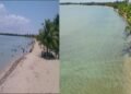 Placencia’s Shoreline Slips Away as Erosion Crisis Intensifies