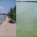 Placencia’s Shoreline Slips Away as Erosion Crisis Intensifies