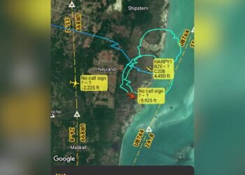 Drug Plane Intercepted in High‑Stakes Belizean Operation