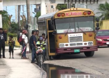 Zabaneh Rejects Immediate Relief for Bus Operators