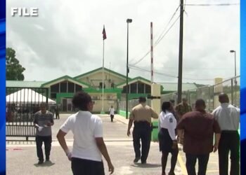 Minister Defends Disciplinary Action Against Immigration Officers