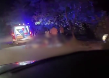 Late‑Night Ride Turns Fatal in Punta Gorda