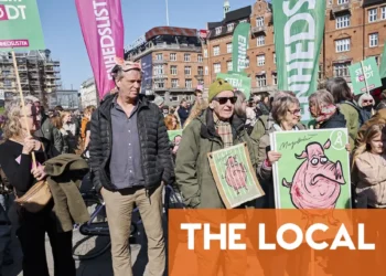 Seven ways to get involved in politics in Denmark without being a citizen