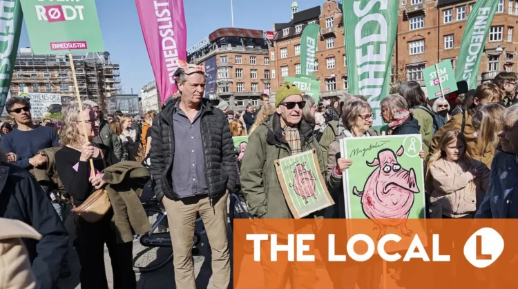 Seven ways to get involved in politics in Denmark without being a citizen