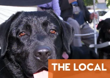 The EU tightens rules for Brits traveling to Europe with pets