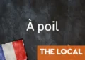 French Expression of the Day: À poil