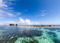 FFA and Iceland Ocean Cluster collaborate on tuna side-stream innovation in the Pacific