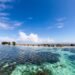 FFA and Iceland Ocean Cluster collaborate on tuna side-stream innovation in the Pacific