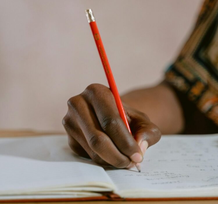 Ace Academix to host free Online Creative Writing Workshop for grade 6 Students