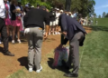 A golfer’s tee shot ended up in a spectator’s shopping bag: what the rule says