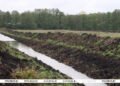 Lukashenko calls for responsible treatment of reclaimed land