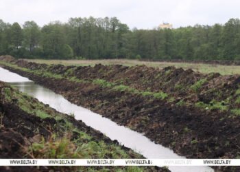 Lukashenko calls for responsible treatment of reclaimed land