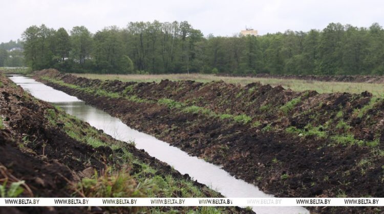 Lukashenko calls for responsible treatment of reclaimed land