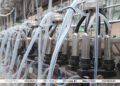 Lukashenko stresses importance of dairy complexes