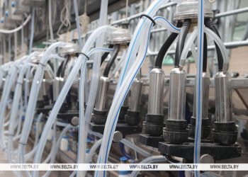 Lukashenko stresses importance of dairy complexes