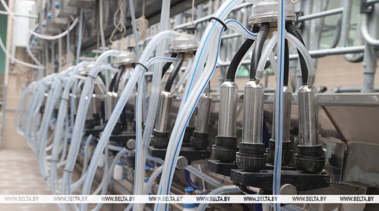 Lukashenko stresses importance of dairy complexes