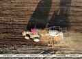 Belarus sows sugar beet on 95% of designated areas