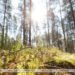 Key tasks of Polesie reserve outlined