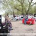 Open Piano event near Minsk | In Pictures | Belarus News | Belarusian news | Belarus today | news in Belarus | Minsk news