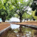 Erhai Lake in China | In Pictures | Belarus News | Belarusian news | Belarus today | news in Belarus | Minsk news