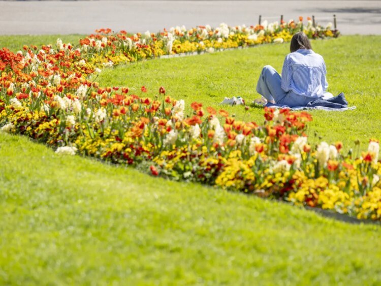 Parts of Switzerland experience driest April on record