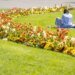 Parts of Switzerland experience driest April on record