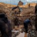Canada Says Its Gold Is Traceable and Clean. So We Traced It.