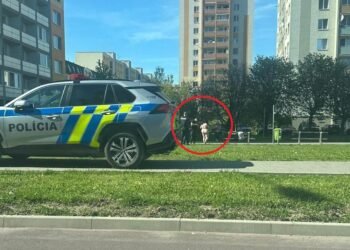 A naked woman was running around a housing estate in Trnava, she was fined. The evening ended in psychiatry – SME