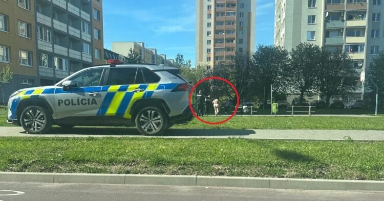 A naked woman was running around a housing estate in Trnava, she was fined. The evening ended in psychiatry – SME