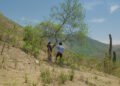 In ‘Our Land,’ Lucrecia Martel Turns Her Camera on a Killing
