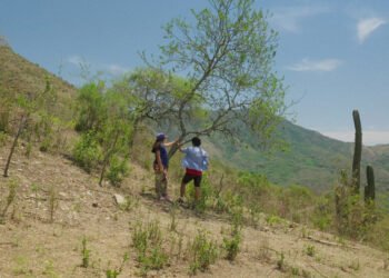 In ‘Our Land,’ Lucrecia Martel Turns Her Camera on a Killing