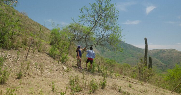In ‘Our Land,’ Lucrecia Martel Turns Her Camera on a Killing