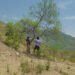 In ‘Our Land,’ Lucrecia Martel Turns Her Camera on a Killing