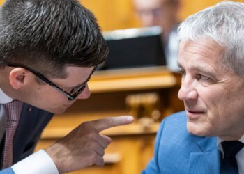 Swiss House rejects initiative to ease naturalisation