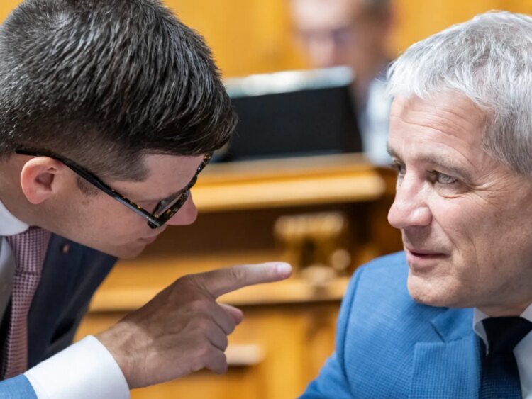 Swiss House rejects initiative to ease naturalisation