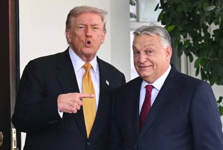 Journalist: Orban is not going to the parliament because he is preparing an option to escape to the USA