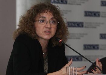 Džamonja Ignjatović: After the tragedy, the state reacted with visible and ad hoc measures, but a strategy is needed – Society