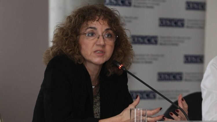 Džamonja Ignjatović: After the tragedy, the state reacted with visible and ad hoc measures, but a strategy is needed – Society