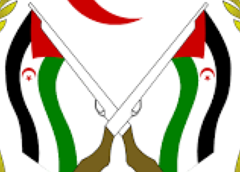France is excluded from all international efforts related to decolonization of Western Sahara due to its hostile position (statement)
