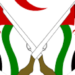 France is excluded from all international efforts related to decolonization of Western Sahara due to its hostile position (statement)