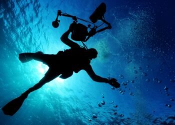 Zsófia Törőcsik Sets Hungarian Record in Free Diving after Breaking World Record