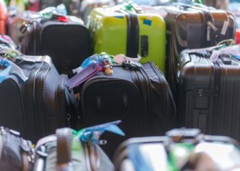 Monkey carcasses and dozens of kilos of meat in airline passengers’ luggage