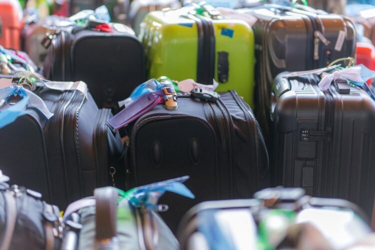 Monkey carcasses and dozens of kilos of meat in airline passengers’ luggage