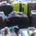 Monkey carcasses and dozens of kilos of meat in airline passengers’ luggage