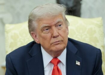 US leader says he offered Putin ‘a little bit of a ceasefire’ in Ukraine – World