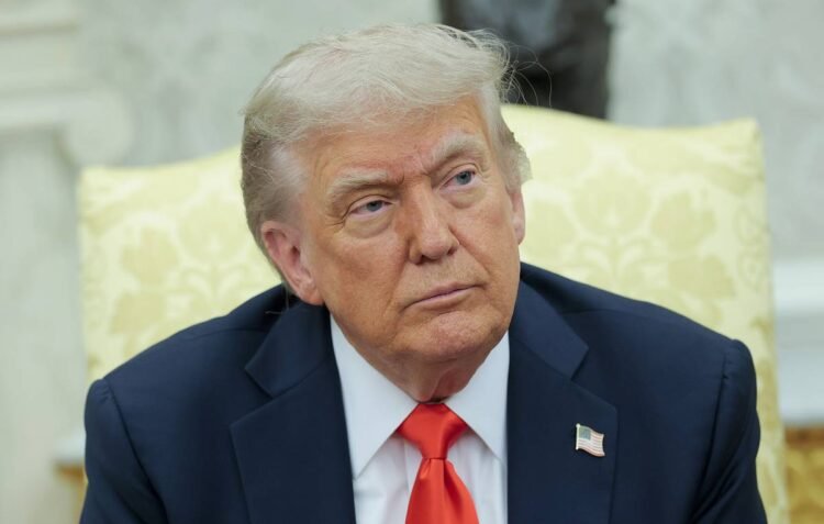 US leader says he offered Putin ‘a little bit of a ceasefire’ in Ukraine – World