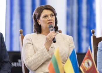 D. Nausėdienė spoke vaguely again: abroad she talked about soft power networking