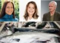 The managing director of Patagonia discusses salmon farming in Iceland